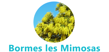 Bormes les Mimosas